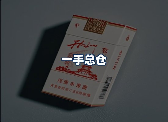 专业团队办公环境